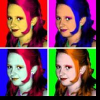 andy warhol pop art style example