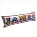 personalised sausage cushion james
