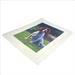 Tapestry Needlepoint Embroidery photo pets