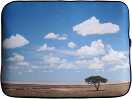 Tree in a desert on a laptop bag