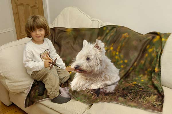 Boy sitting on a sofa with a blanket with a dog on it