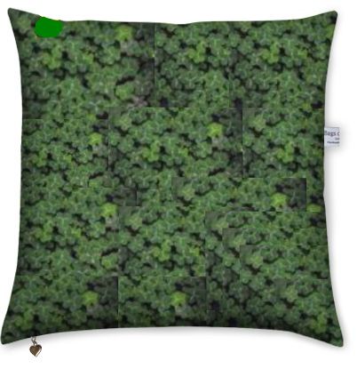 photo cushion with a design of clovers