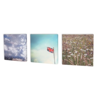 set of 3 photo canvas prints with instagram images