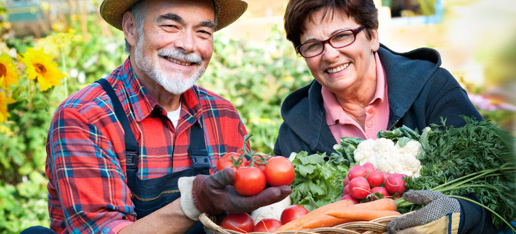 world vegetarian day representative image