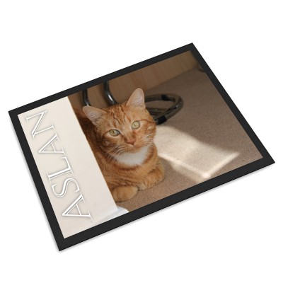 cat-feeding-mat