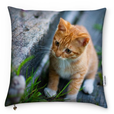 ginger-kitten-personalised-cushion