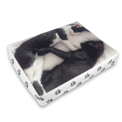 personalised-cat-bed