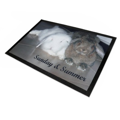 pet feeding mat