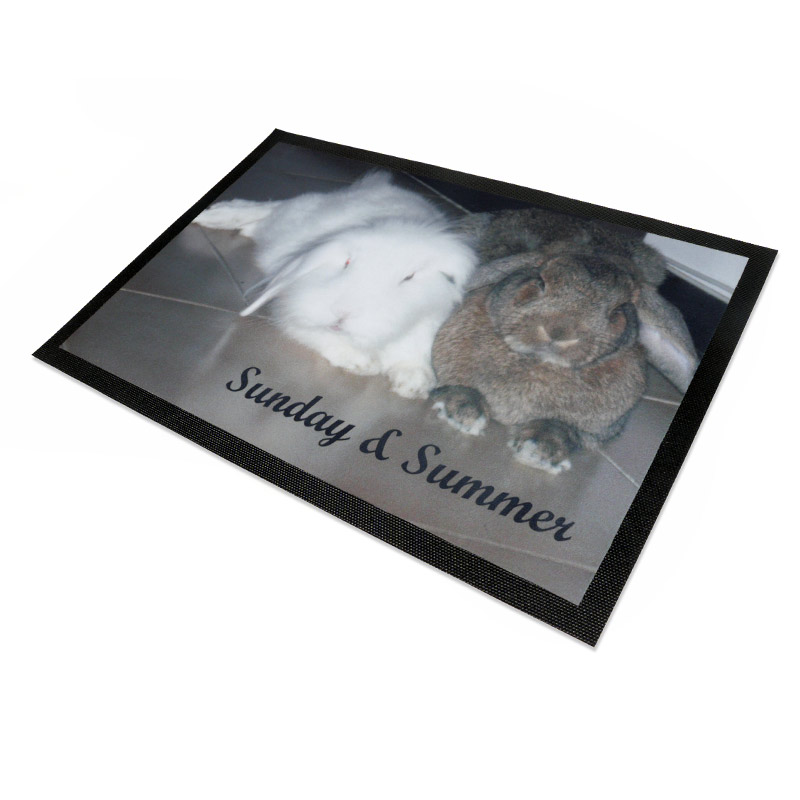 Pet feeding mat Gift Ideas Blog