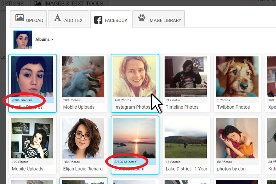 make a photo montage from facebook photos