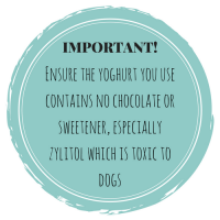 Important ensure ingredients contain no chocolate or sweeteners especially zylitol