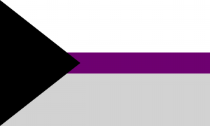 demisexual pride flag