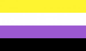 non binary pride flag