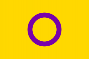 intersex pride flag