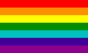 pride flag 1978 to 1979