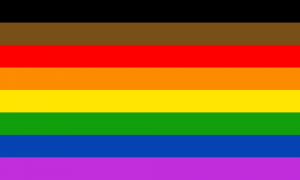 pride flag from 2017