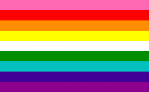 pride flag from 2018