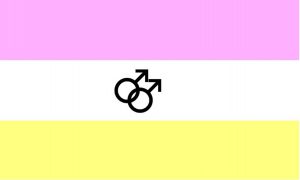 twink pride flag