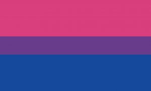 bisexual pride flag