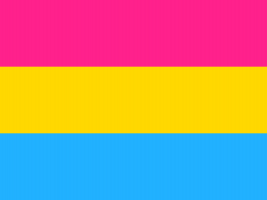 pansexual pride flag