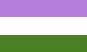 genderqueer pride flag