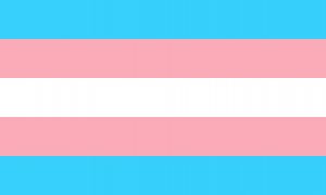 transgender pride flag
