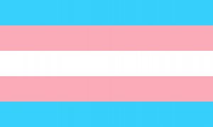 transgender pride flag