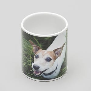 pet pot