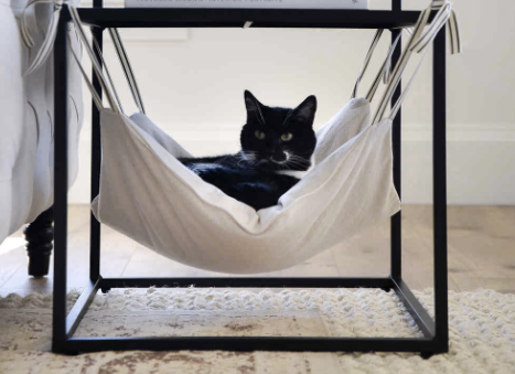 cat hammock