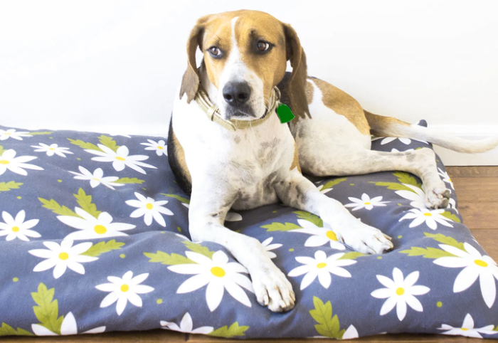 beginner sewing project dog bed tutorial