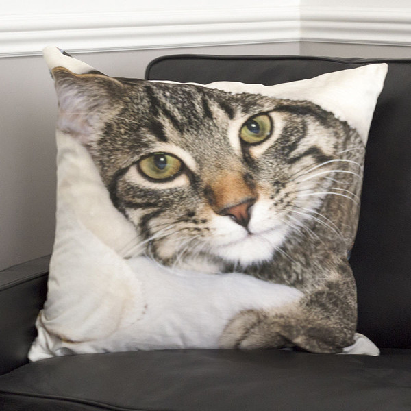 cushion with cat