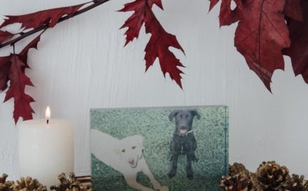 BOL_280_ACRYLIC_PHOTO_BLOCK_3