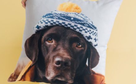 BOL_30_CUSHIONS-2