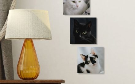 shutterstock_491548735a copy1000