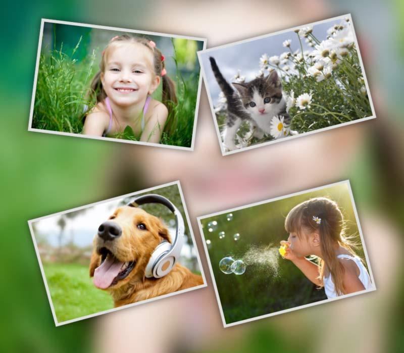 Free Photo Collage Download Make Collage Online
